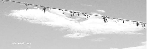 Lures photo by @andCreative